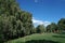 Park with large willow trees