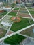 Park Library of Trees created by Dutch landscape designer Petra Blaisse and Piet Oudolf, Milan, Italy