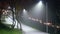 Park lights fog night
