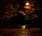 Park lights with wet path covered in leaves