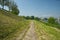 Park longside river Ticino in Pavia, Italy