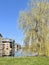 Park with modern apartments and a weeping willow tree.