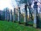 Park of the Monsters, Sacred Grove, Garden of Bomarzo. Colonnade of Herms and alchemy