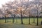 Park in Nara, Japan, with empty bench