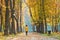 Park near the river is getting autumn colors. A woman walks along the park alley