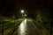 Park night lanterns lamps: a view of a alley walkway, pathway in a park with trees and dark sky as a background at an summer eveni