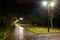 Park night lanterns lamps: a view of a alley walkway, pathway in a park with trees and dark sky as a background at an summer eveni