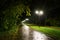 Park night lanterns lamps: a view of a alley walkway, pathway in a park with trees and dark sky as a background at an summer eveni