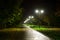 Park night lanterns lamps: a view of a alley walkway, pathway in a park with trees and dark sky as a background at an summer eveni