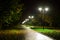 Park night lanterns lamps: a view of a alley walkway, pathway in a park with trees and dark sky as a background at an summer eveni