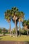 Park with palm trees L`Ampolla Spain Costa Dorada called Parc de Salut de L`Arenal