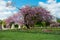 Park of Paris Jardin Luxembourg