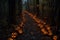 a park path magically transformed into a haunted Halloween trail.