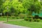 A park with pedestrian walkways with many different plants.