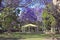 Park with Pergola and jacaranda trees, Grafton