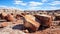 park petrified forest ancient