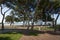 Park with pine trees next to beach in Benicassim