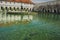 Park pool in Waldstein garden, Mala strana, Prague - Senate