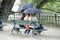 Park on a rainy day with three females sitting on a bench and holding umbrellas