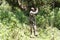 Park ranger at the Volcanoes National Park