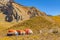 Park Rangers Camp, Aconcagua National Park, Mendoza, Argentina