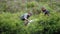 Park rangers at Cape Vidal