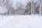 Park road covered in heavy snow