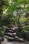 Park scene with trees, bright green foliage, stones and stairs