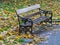 Park Seat in Autumn