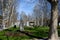 Park square with bandstand bust statue and trees Zagreb Croatia