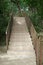 The park staircase is tiled among large green trees.