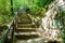 Park stairway at the famous Parco dei Mostri, also called Sacro Bosco or Giardini di Bomarzo. Monsters park. Lazio, Italy