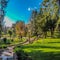 Park with stone paths, green vegetation and a pond