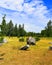 Park of stones, stones, nature, landscape, garden