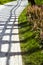 Park in summer. wooden lakeside promenade, a place for outdoor recreation