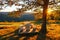 Park table with benches at sunset