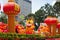 Park with traditional decoration dragon for chinese holiday
