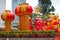 Park with traditional decoration dragon for chinese holiday