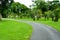 Park trail surrounded by palm trees