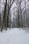 Park trail in winter on a snowy cloudy day.