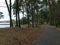 Park with tree silhouettes in the evening, the pedestrian walking path, old and damaged road surface plate