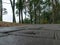 Park with tree silhouettes in the evening, the pedestrian walking path, old and damaged road surface plate