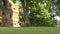 Park with tree and stone wall of the castle. Slider shot.