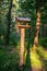 In the park on a tree trunk there is a little wooden table with a metal roof for feeding squirrels and birds