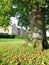 Park, trees, green, garden, season, beautiful, autumn, leaves, nature, shape grass, bench