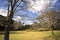 Park with trees, green grass, branches under blue sky near Katoomba Sydney australia