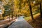 Park with trees, trails and benches in autumn. Yellow trees in October.