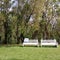 Park with two white bench surrounded by beautiful trees and grass