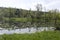 Park with a view of the clogged lake as a swamp.