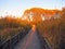 Park view of yellow reeds, boardwalk, willow trees in sundown in autumn in Beijing, China